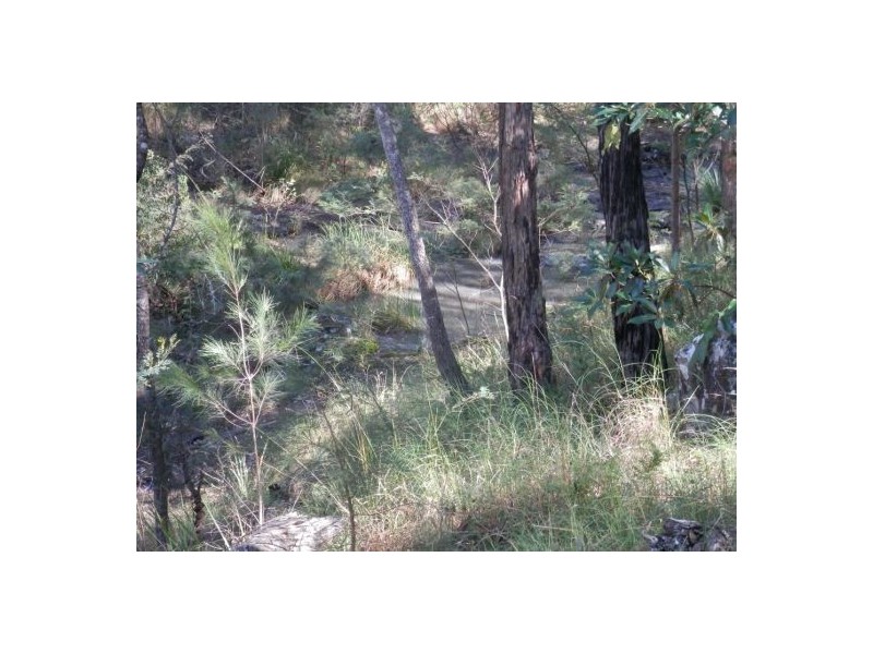 Lot 51 Long Gully Rd, Drake NSW 2469