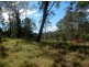 Lot 51 Long Gully Rd, Drake NSW 2469