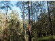 Lot 51 Long Gully Rd, Drake NSW 2469