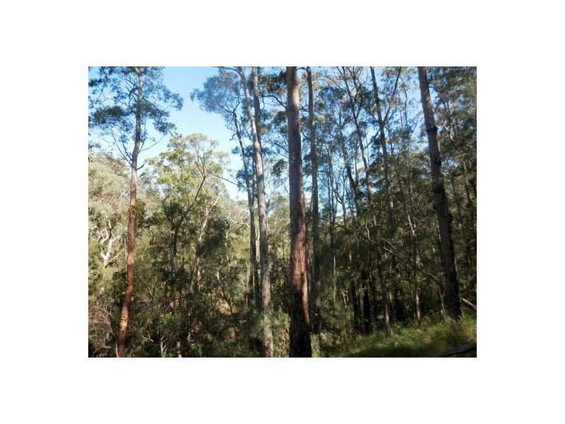 Lot 51 Long Gully Rd, Drake NSW 2469