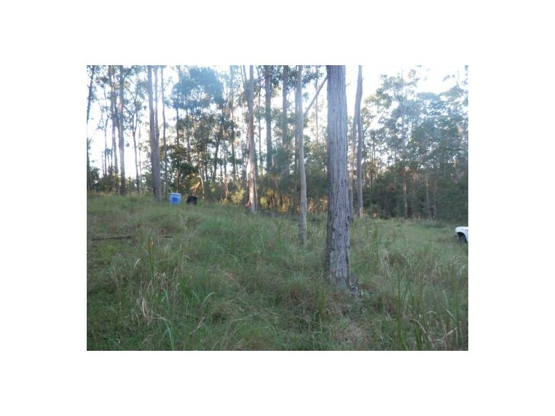 Lot 51 Long Gully Rd, Drake NSW 2469