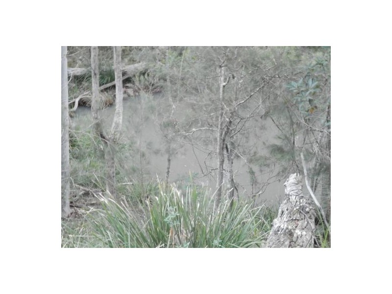 Lot 51 Long Gully Rd, Drake NSW 2469