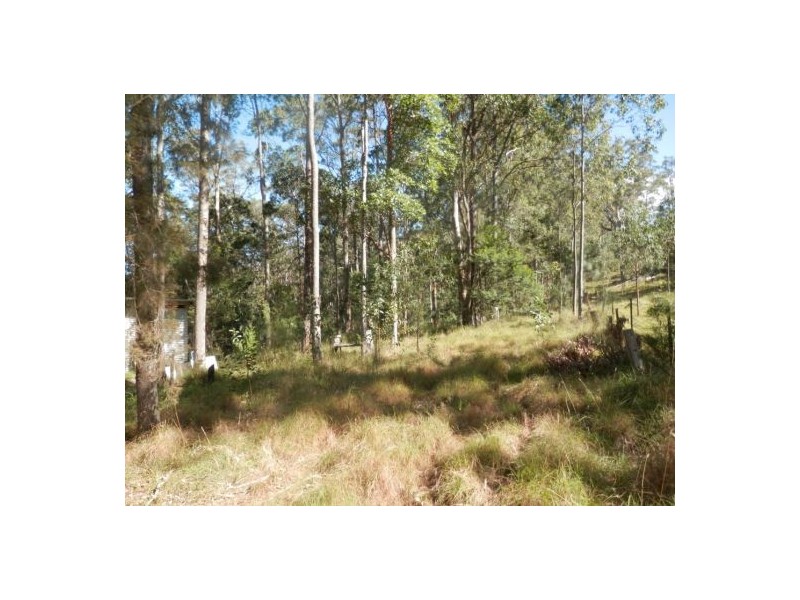 Lot 51 Long Gully Rd, Drake NSW 2469