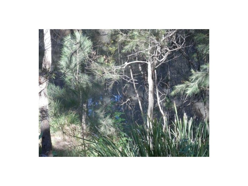 Lot 51 Long Gully Rd, Drake NSW 2469