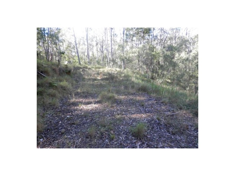 Lot 51 Long Gully Rd, Drake NSW 2469