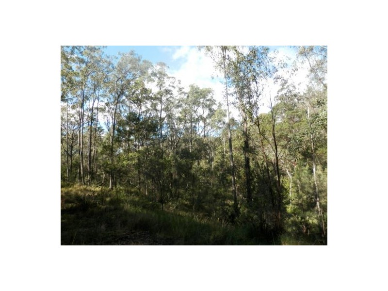 Lot 51 Long Gully Rd, Drake NSW 2469