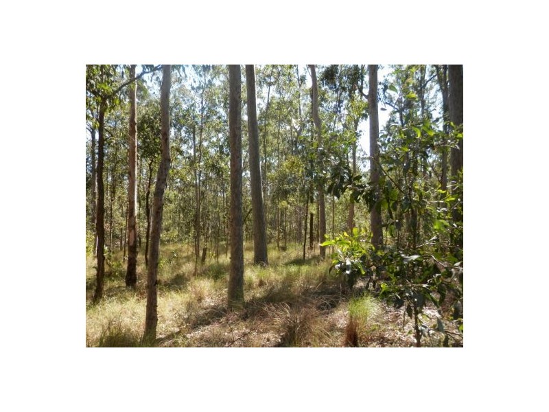 Lot 2 Clarence Way, Tabulam NSW 2469
