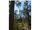 Lot 2 Clarence Way, Tabulam NSW 2469
