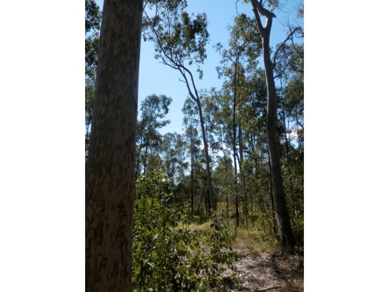 Lot 2 Clarence Way, Tabulam NSW 2469