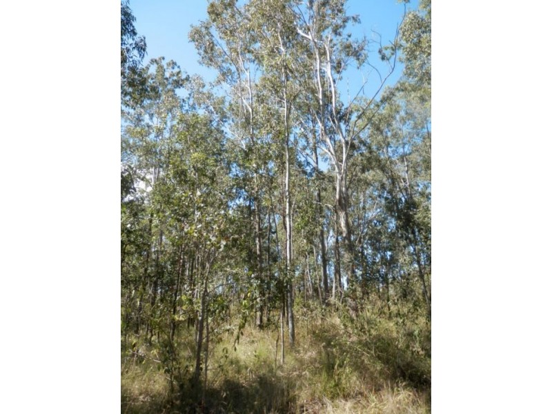 Lot 2 Clarence Way, Tabulam NSW 2469