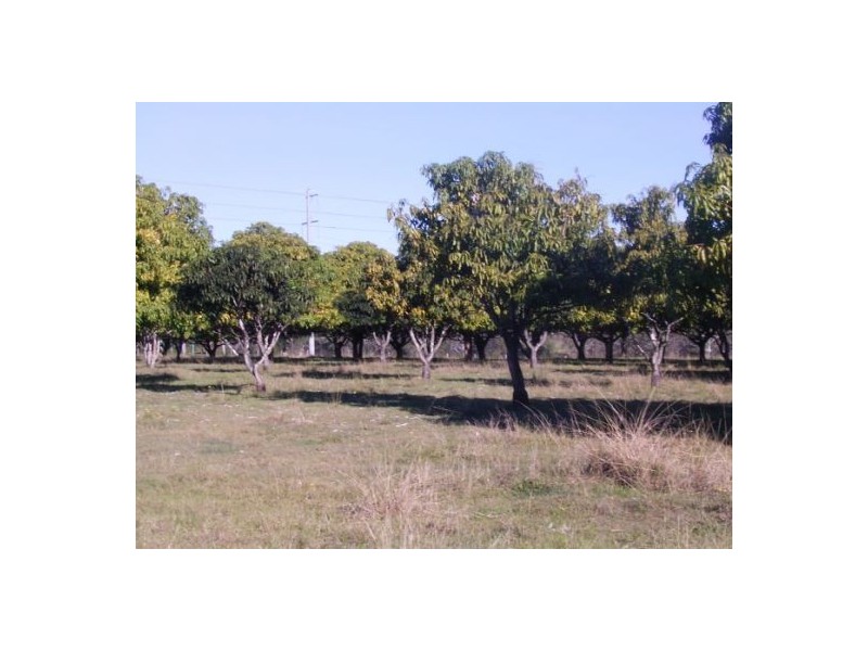 80 Emu Park Road, Casino NSW 2470