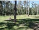 2465 Myall Creek Road, Bora Ridge NSW 2471