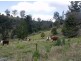 1583 Afterlee Road Kyogle 2474, Kyogle NSW 2474