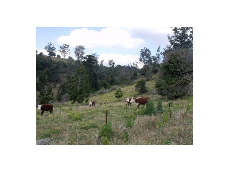 1583 Afterlee Road Kyogle 2474, Kyogle NSW 2474