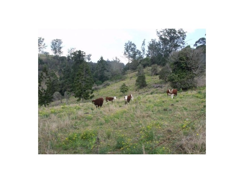 1583 Afterlee Road Kyogle 2474, Kyogle NSW 2474