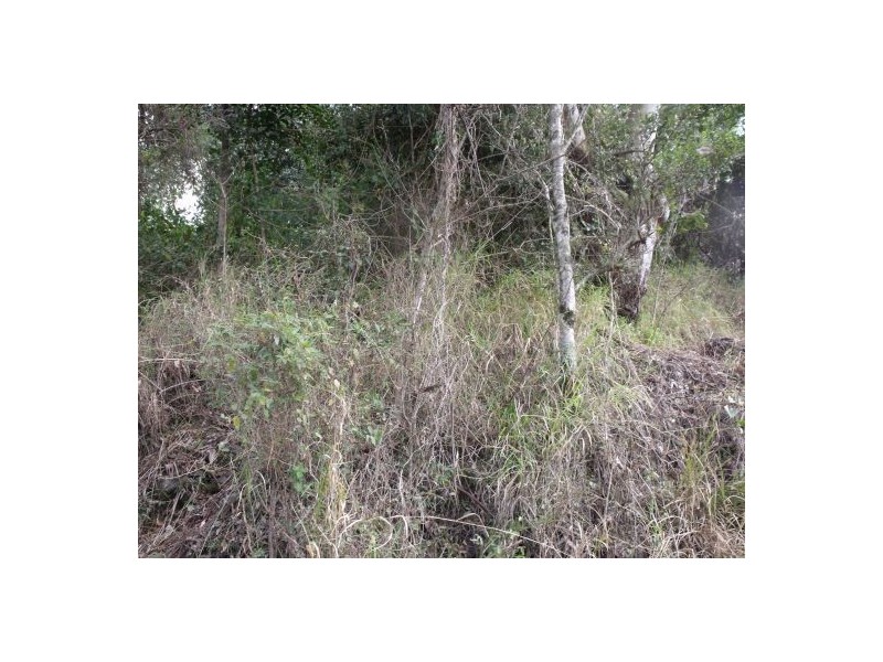 1583 Afterlee Road Kyogle 2474, Kyogle NSW 2474