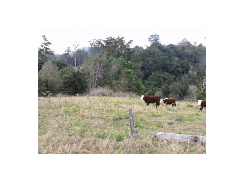 1583 Afterlee Road Kyogle 2474, Kyogle NSW 2474