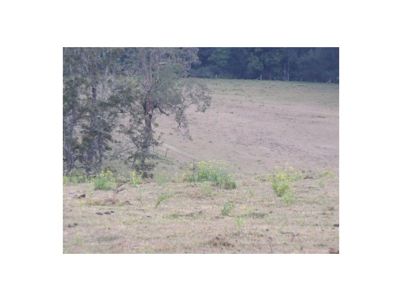 1583 Afterlee Road Kyogle 2474, Kyogle NSW 2474