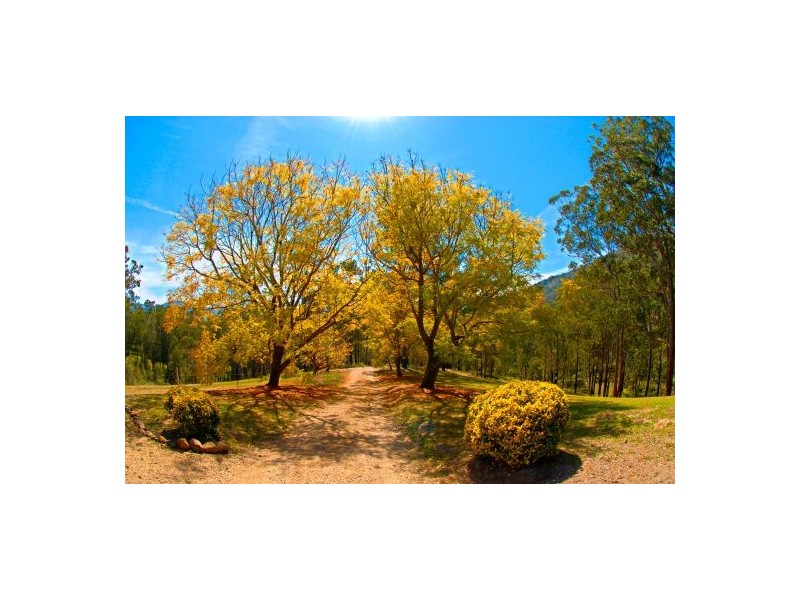 1021e Long Gully Rd, Drake NSW 2469