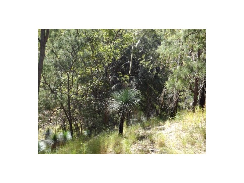 1021e Long Gully Rd, Drake NSW 2469