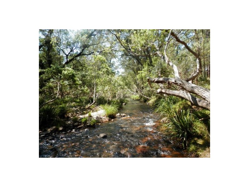 204 Hunters Road, Ewingar NSW 2469