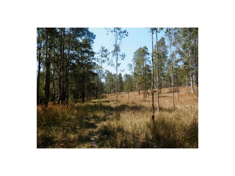 204 Hunters Road, Ewingar NSW 2469