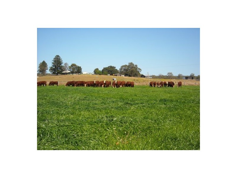 1521 Sextonville Road, Casino NSW 2470