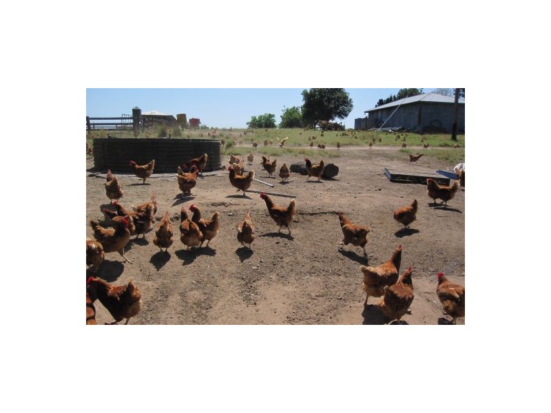 1521 Sextonville Road, Casino NSW 2470