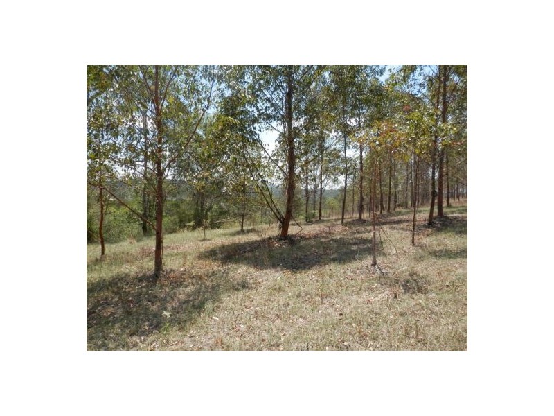 640 Tabulam Road, Tabulam NSW 2469