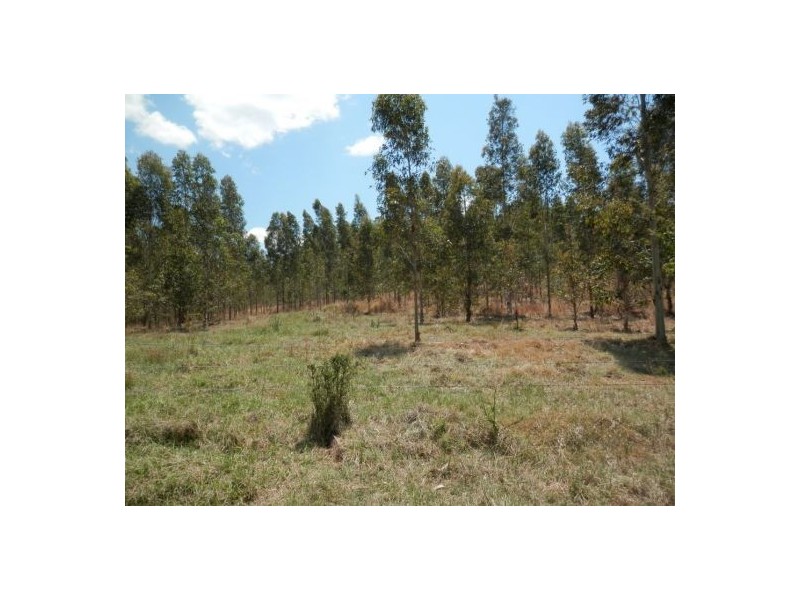 640 Tabulam Road, Tabulam NSW 2469