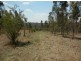 640 Tabulam Road, Tabulam NSW 2469