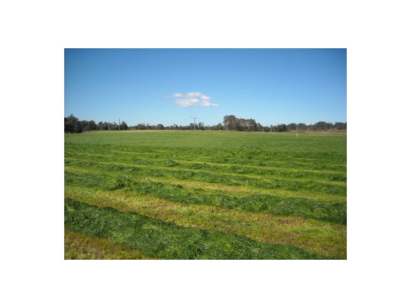 1605 Sextonville Road, Casino NSW 2470