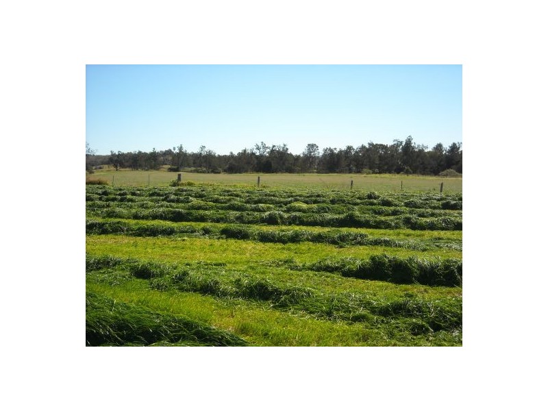 1605 Sextonville Road, Casino NSW 2470