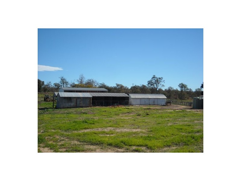 1605 Sextonville Road, Casino NSW 2470