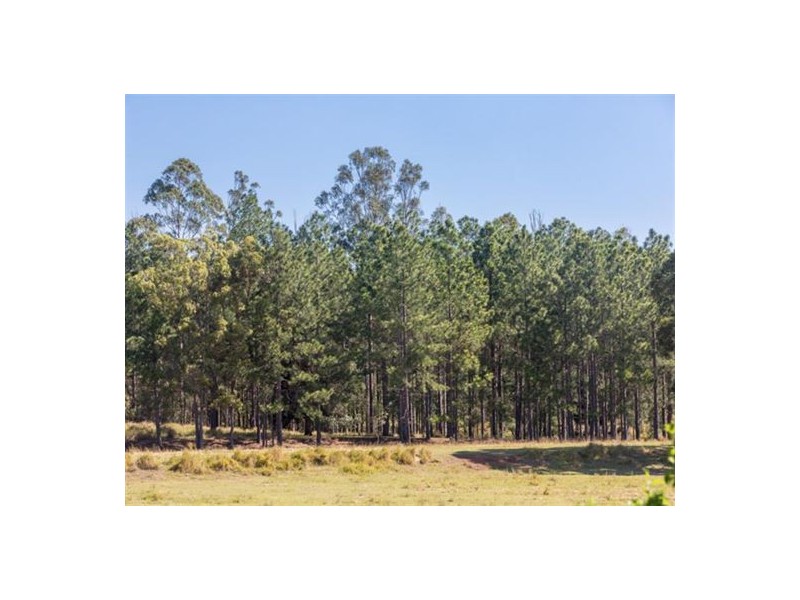 110 Smiths Lane, Casino NSW 2470