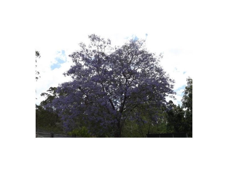 Lot 14 Mud Flat Rd, Drake NSW 2469
