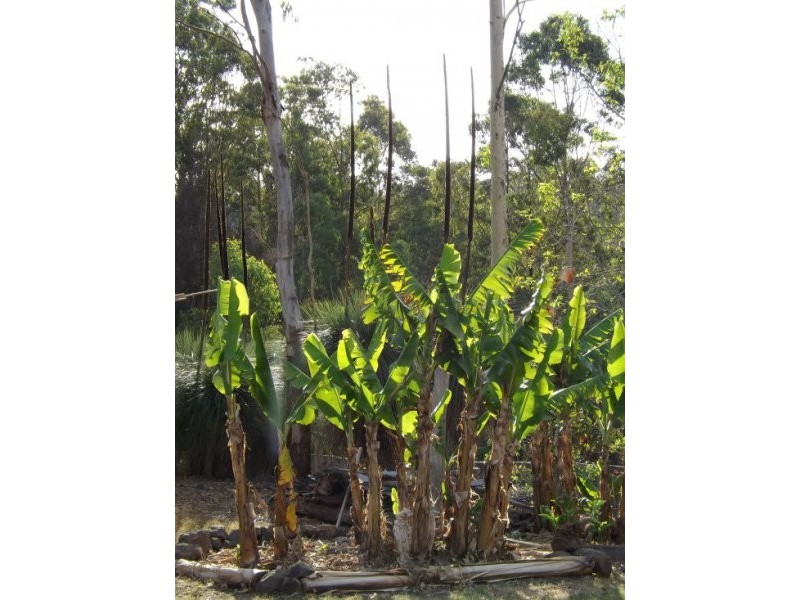 Lot 14 Mud Flat Rd, Drake NSW 2469