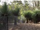 Lot 14 Mud Flat Rd, Drake NSW 2469