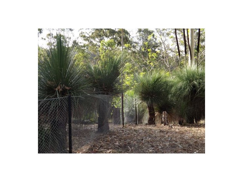 Lot 14 Mud Flat Rd, Drake NSW 2469