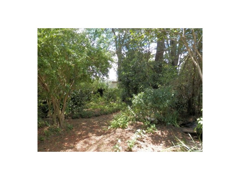 22 Sandilands St, Bonalbo NSW 2469