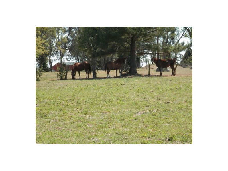 215 East Street, Tenterfield NSW 2372