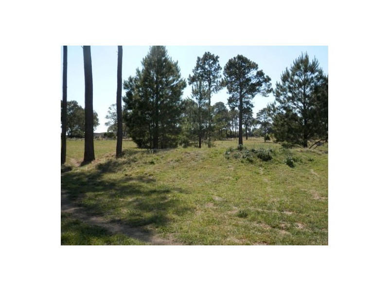 215 East Street, Tenterfield NSW 2372