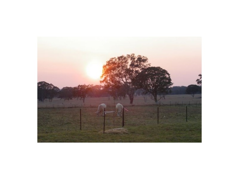 Tenterfield NSW 2372