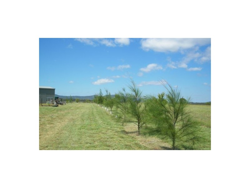 Tenterfield NSW 2372