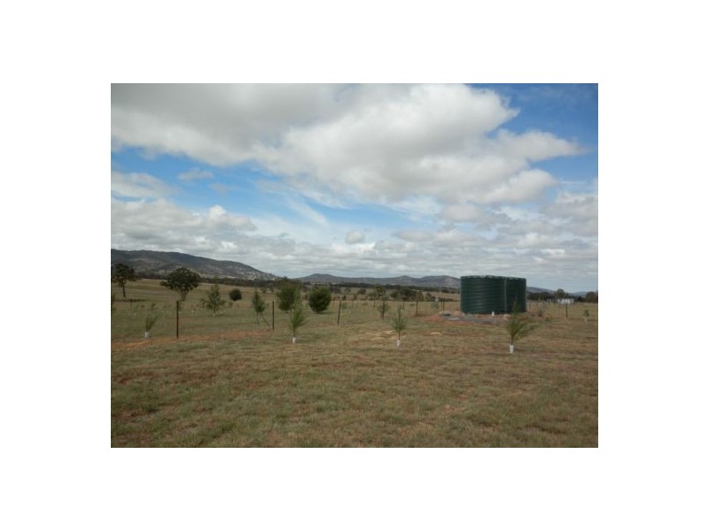 Tenterfield NSW 2372