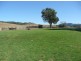 Kyogle NSW 2474