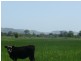 Lismore NSW 2480