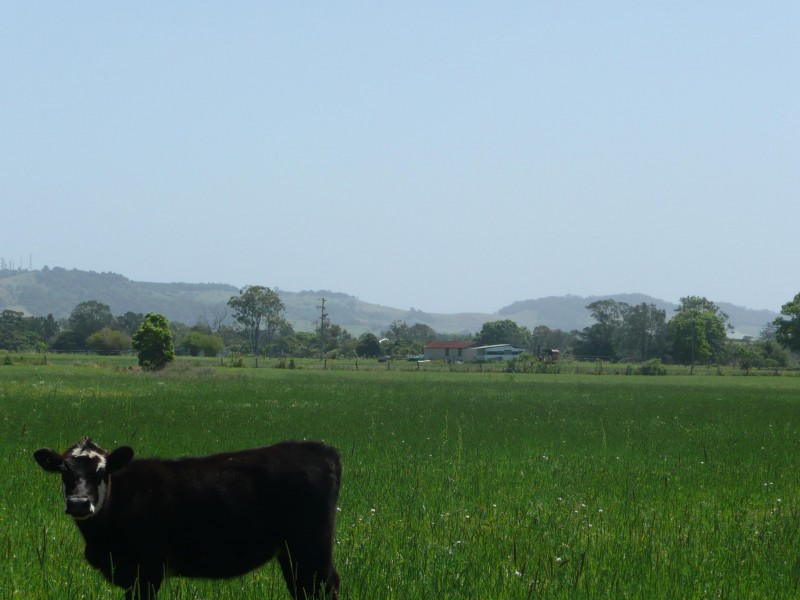 Lismore NSW 2480