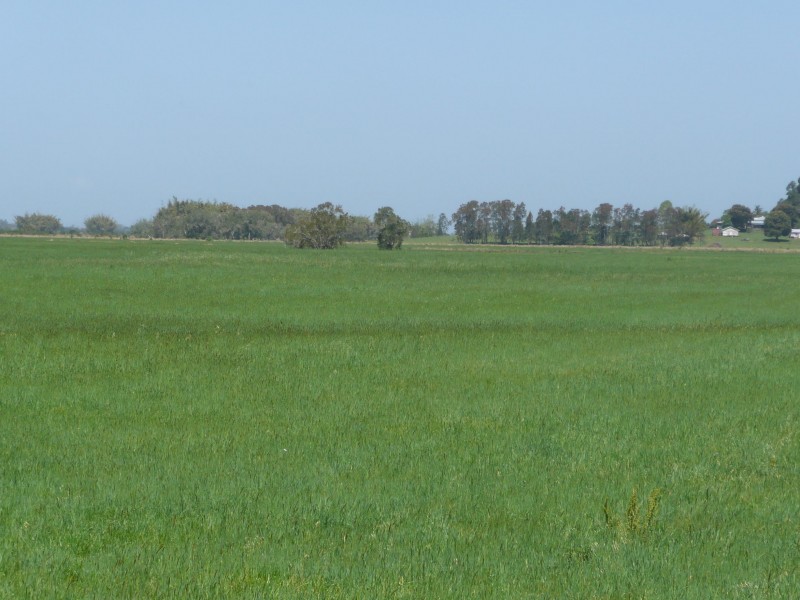 Lismore NSW 2480