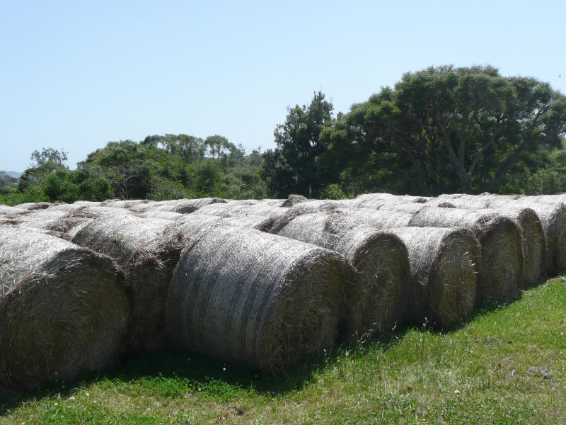 Lismore NSW 2480